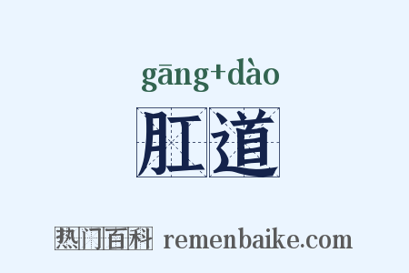 肛道是什么意思的图片